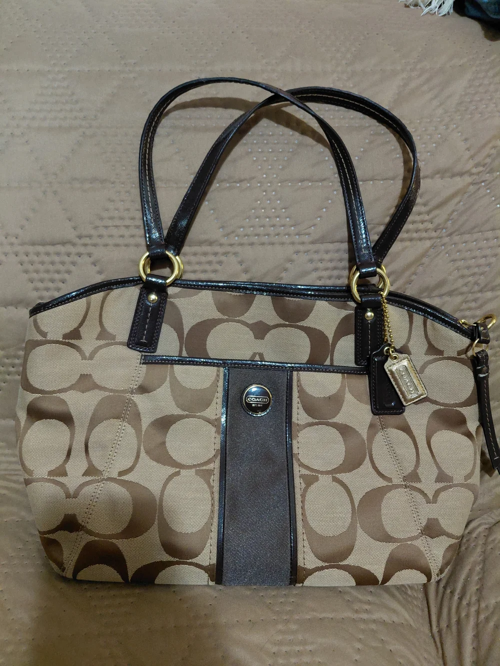 Coach Signature Canvas Tote in Brown